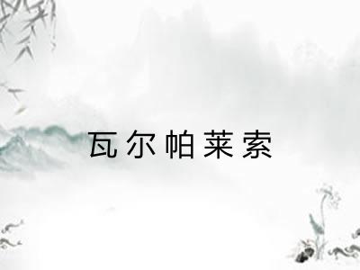 瓦尔帕莱索