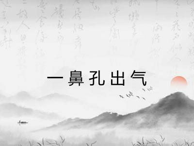 一鼻孔出气 一鼻孔出气