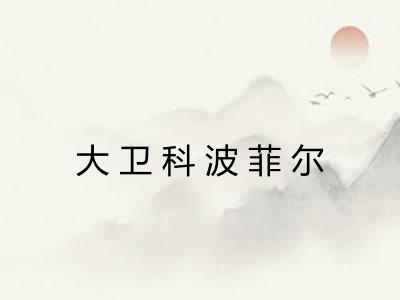 大卫科波菲尔 大卫科波菲尔